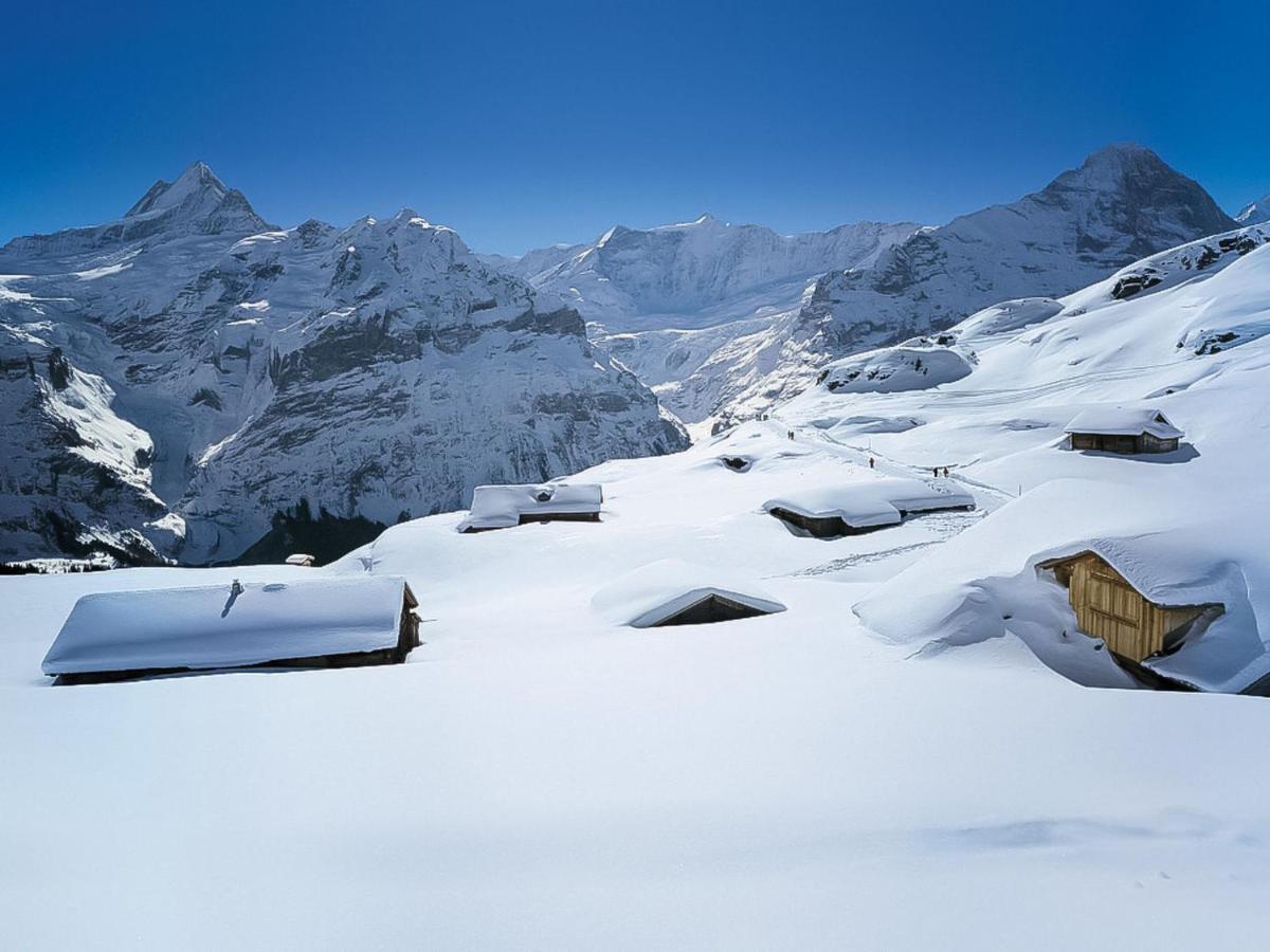 Apartment Chalet Butz By Interhome Grindelwald Eksteriør billede